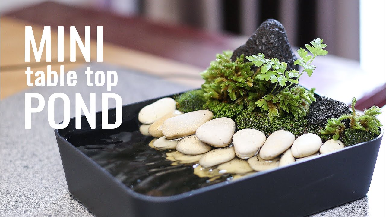 making simple mini pond - table top