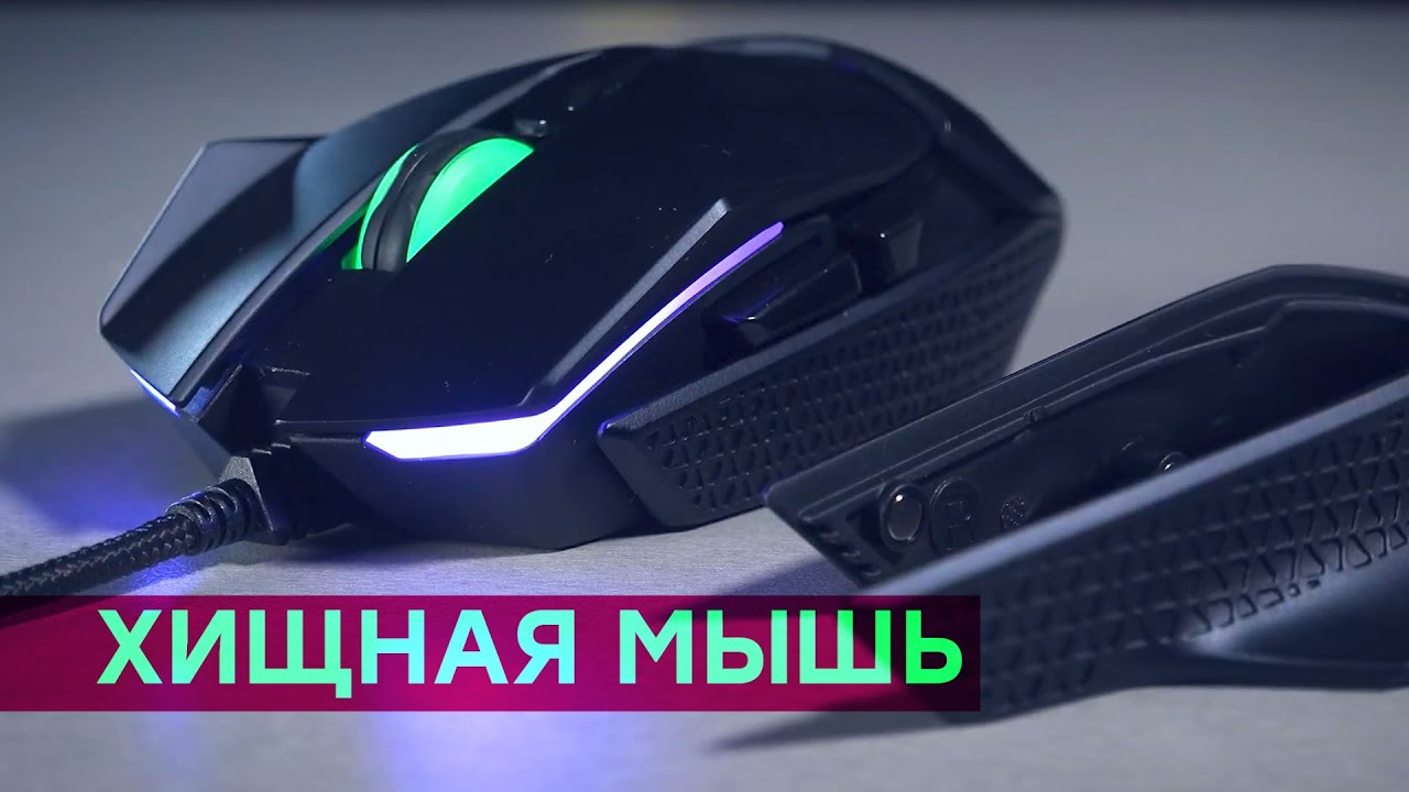 Сменные панели и переключатели! Обзор мыши Acer Predator Cestus 500