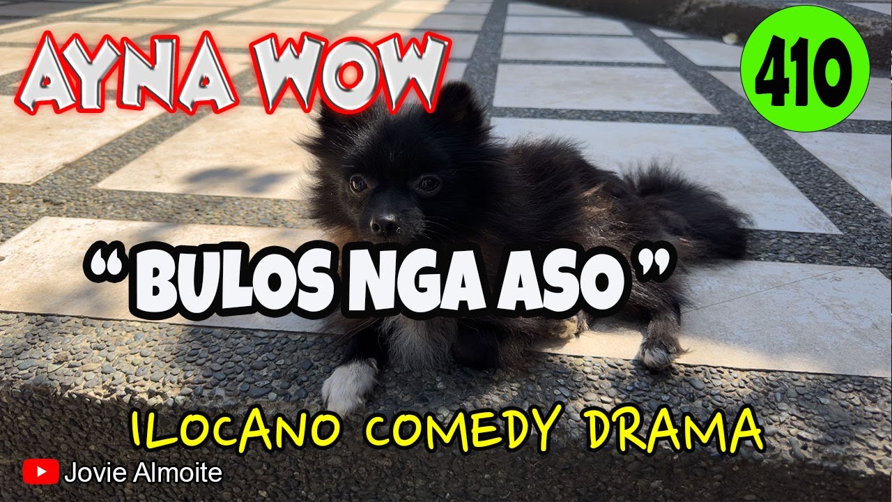 BULOS NGA ASO | AYNA WOW 410 | ILOCANO COMEDY DRAMA | Jovie Almoite