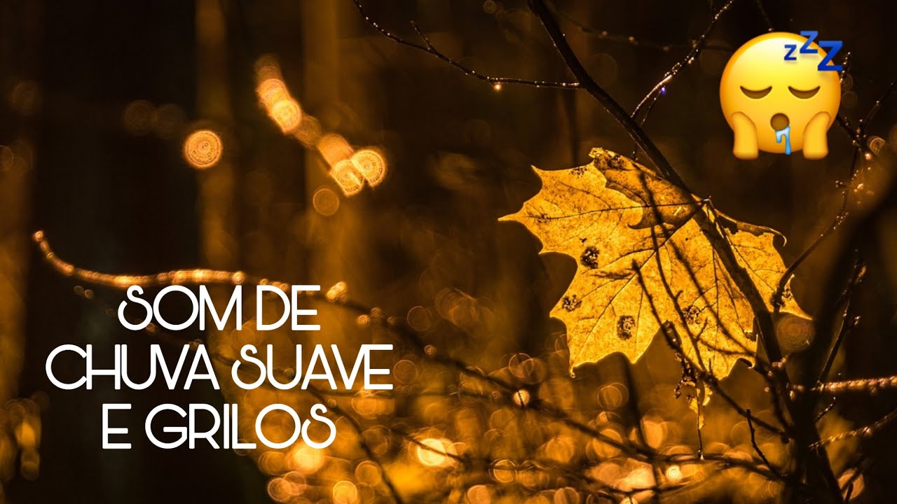 Durma Rápido com este Som Suave de Chuva e Grilos