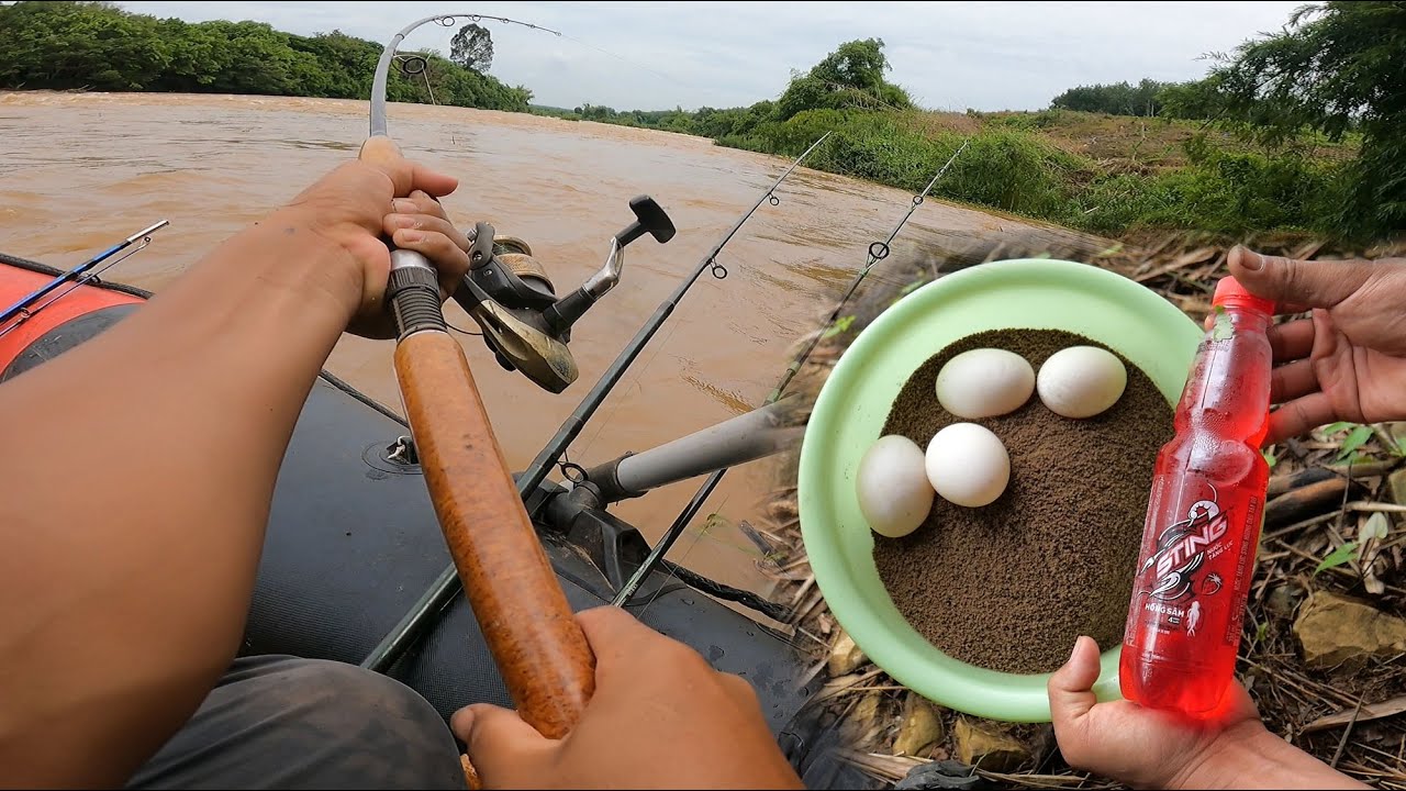 Kéo có với cá luôn, mồi trứng vịt huyền thoại toàn lên hàng khủng ✅