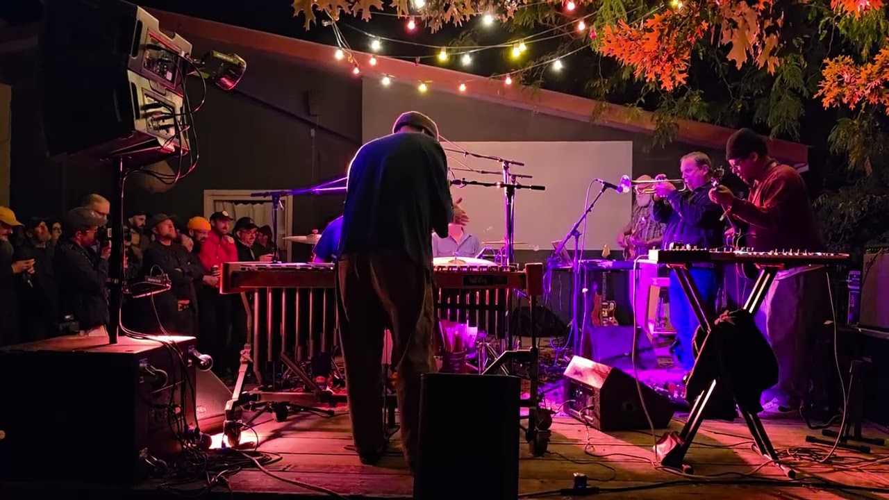 tortoise - swung from the gutters. flying island, marfa, tx. 10.25.25