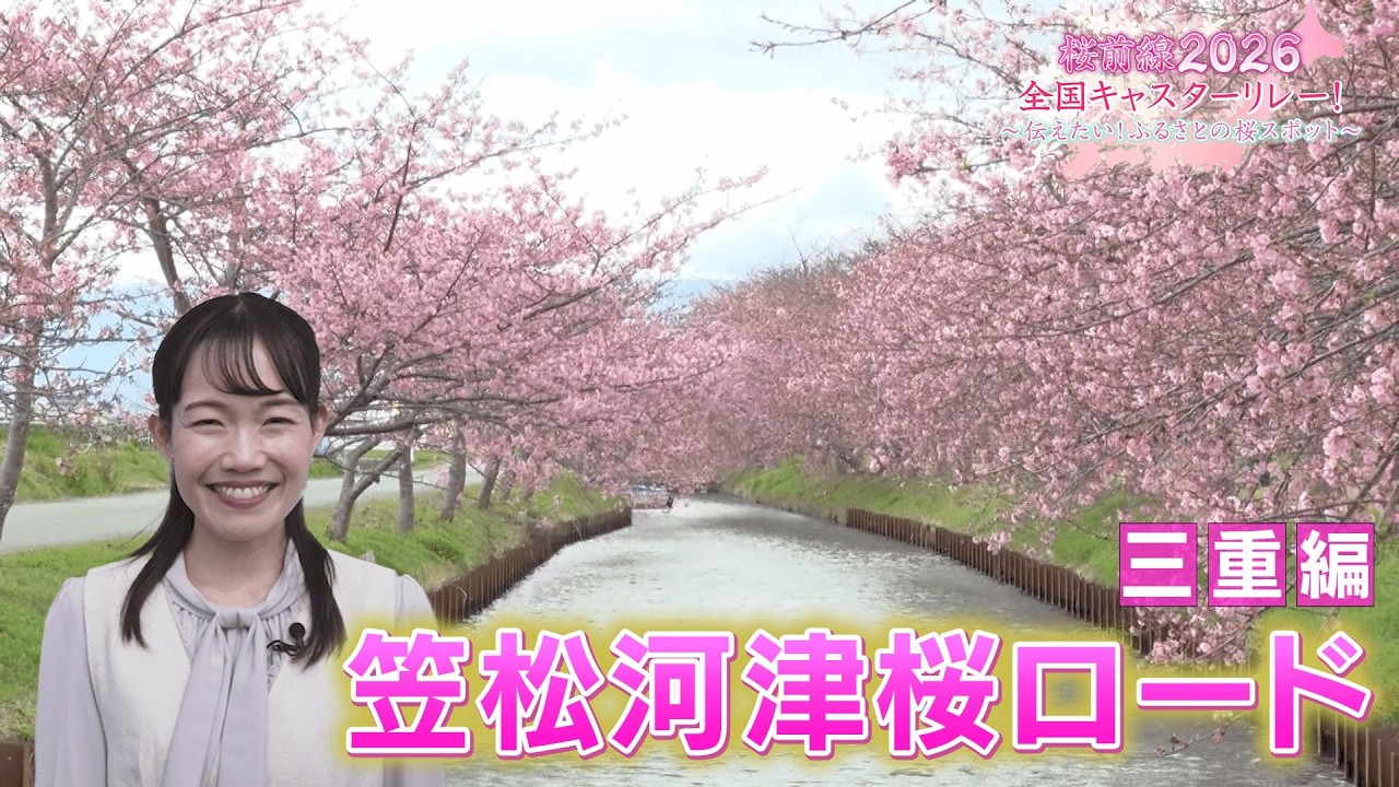 【BS11】三重編「松阪市・笠松河津桜ロード」桜前線2026 全国キャスターリレー！～伝えたい！ふるさとの桜スポット～