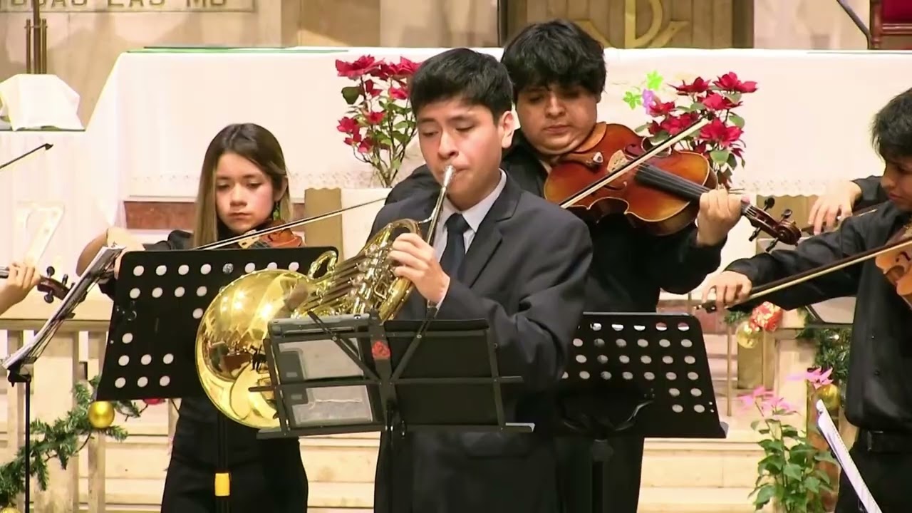 Ricardo Verde l W.A. Mozart l Horn concerto No.3 E flat Major K.447