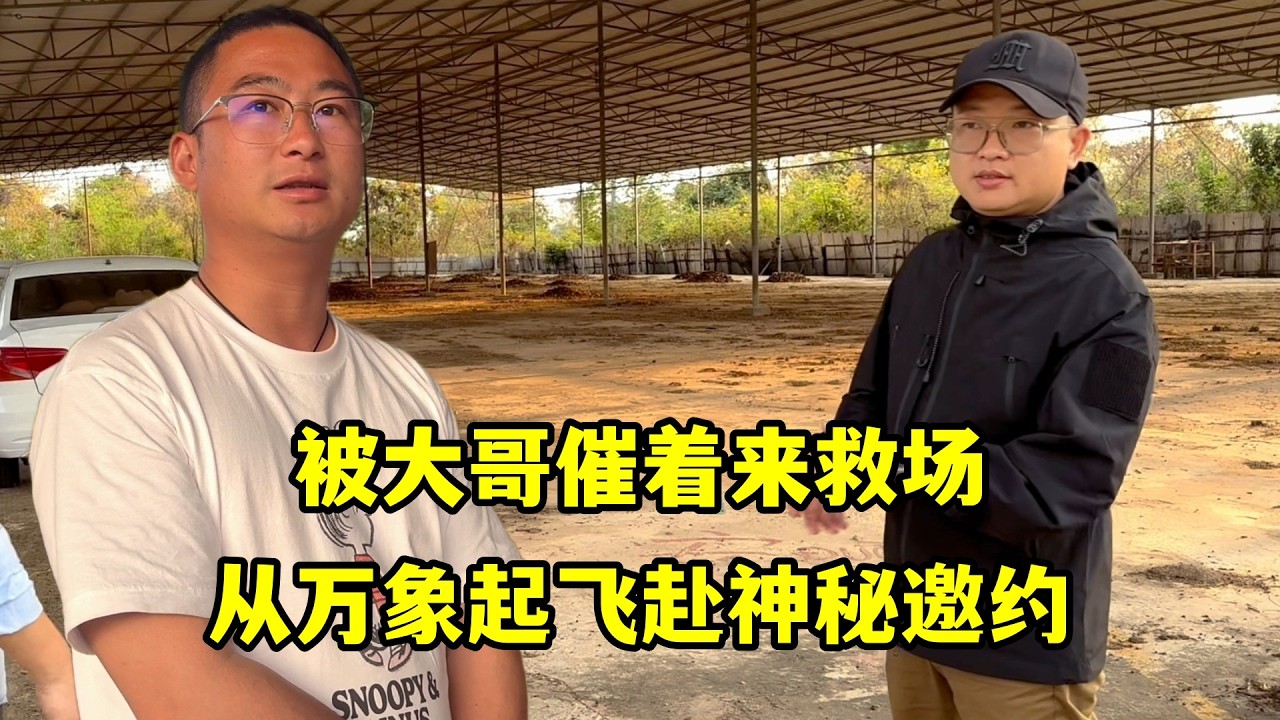 從萬象起飛赴一場神秘邀約，被大哥催著來救場，今天一探究竟！