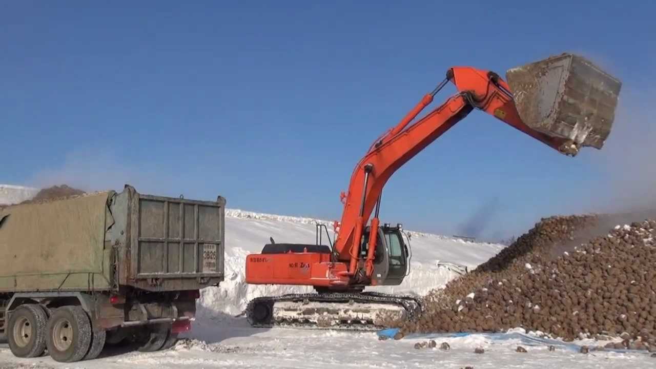 Beet sugar factory 製糖工場