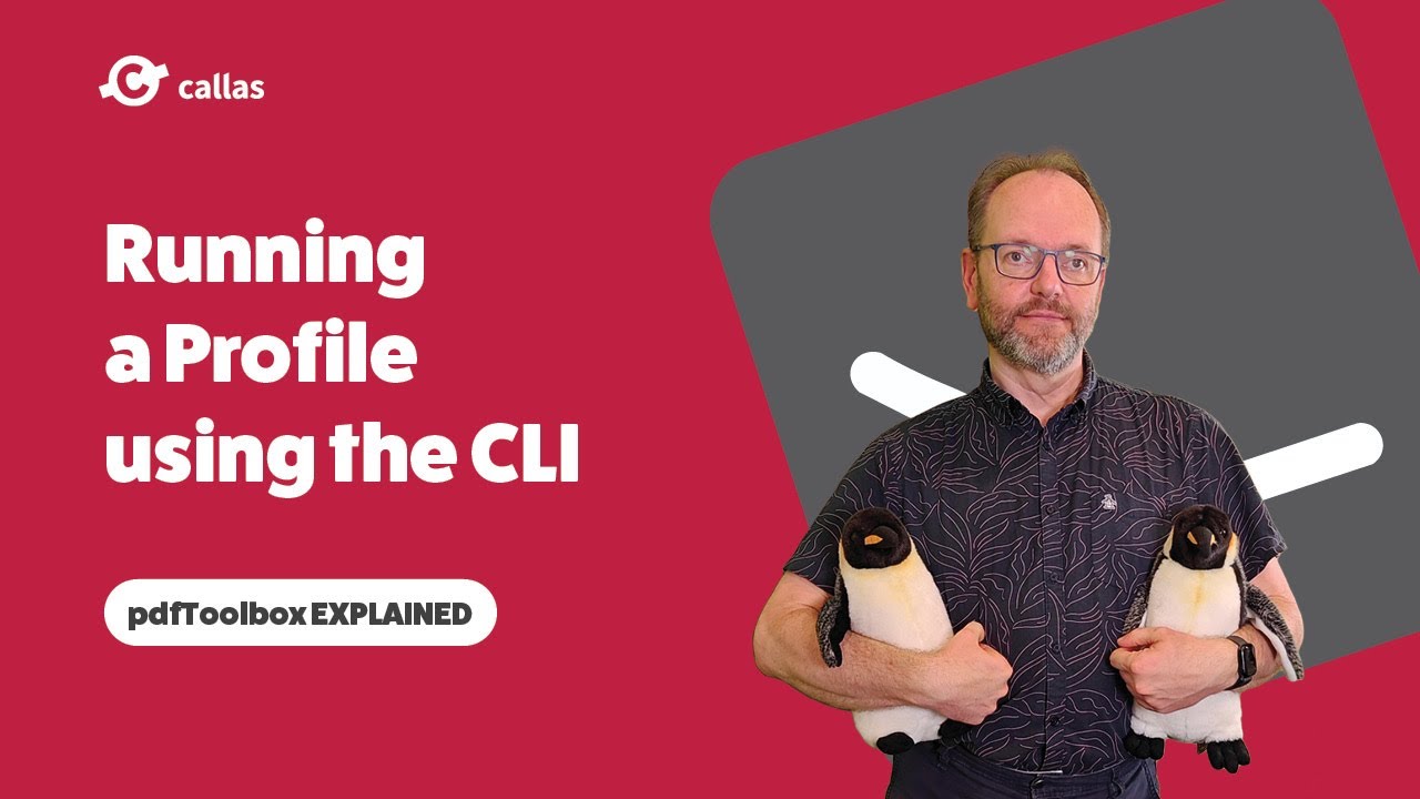 Running a Profile using the CLI