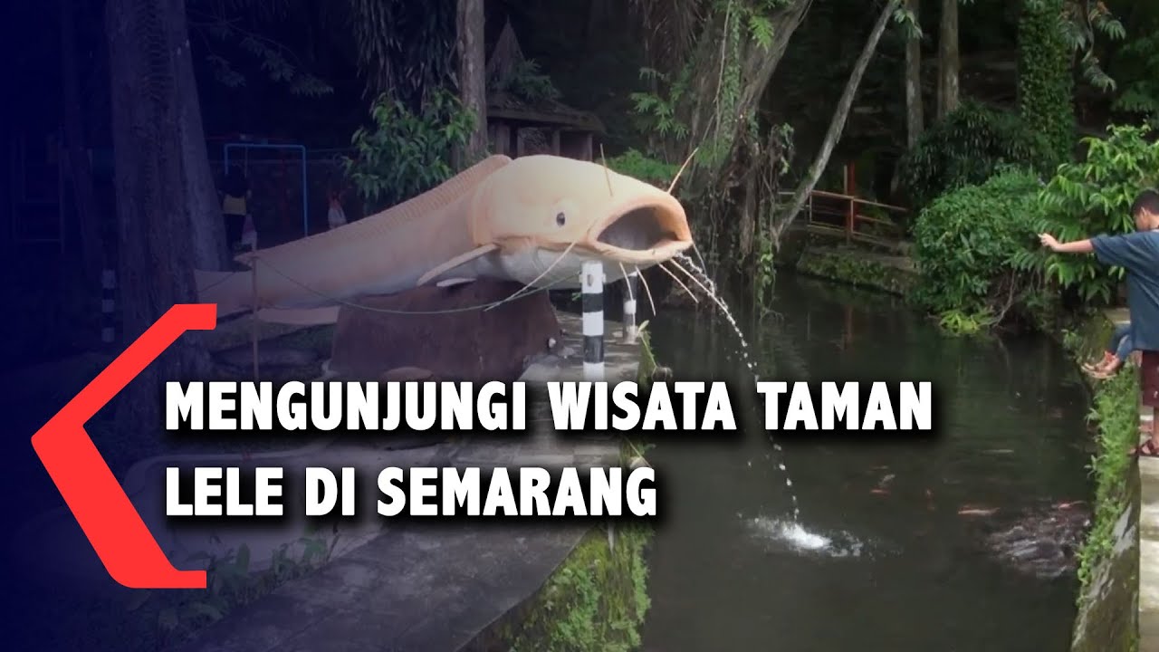 Mengunjungi Wisata Taman Lele di Semarang