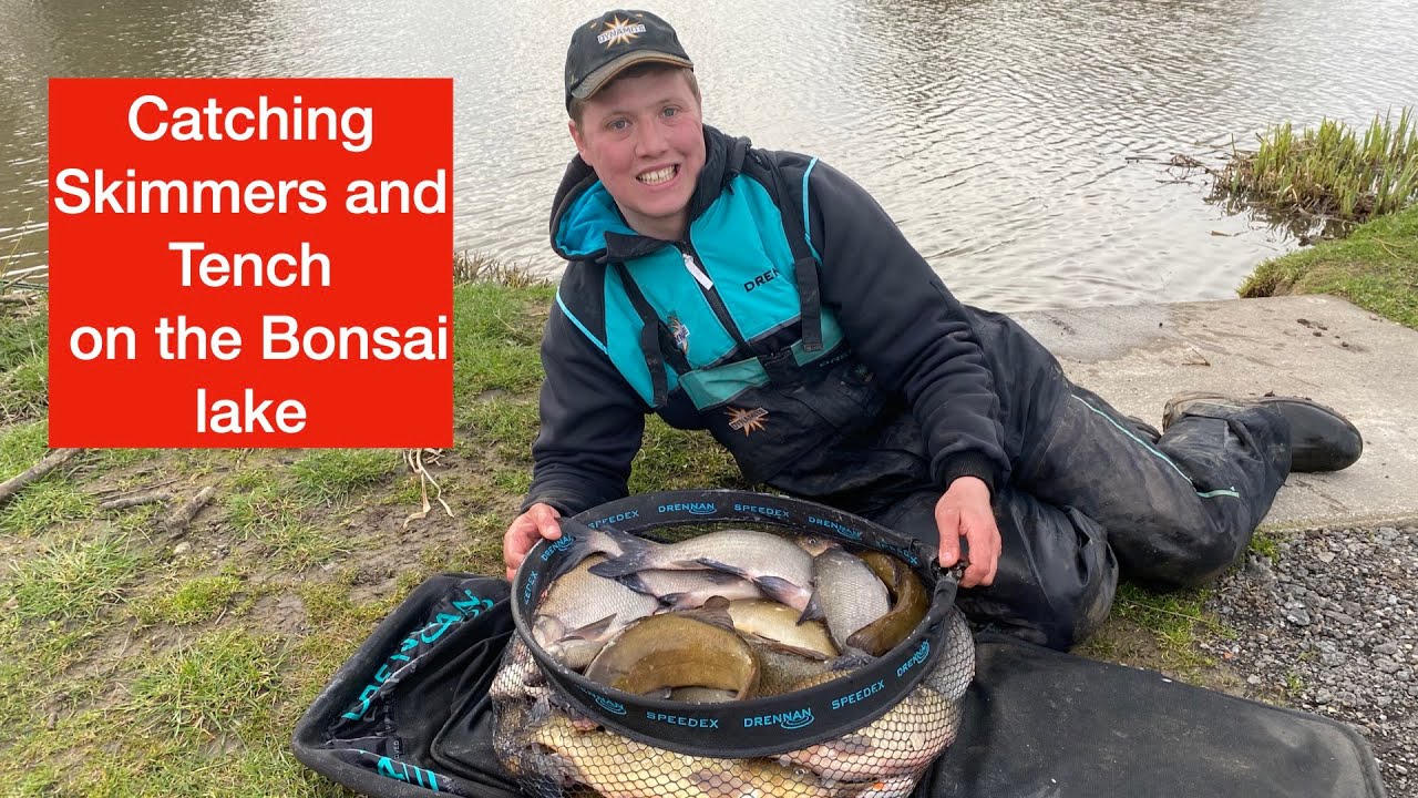 Catching Skimmers and Tench on the Bonsai lake