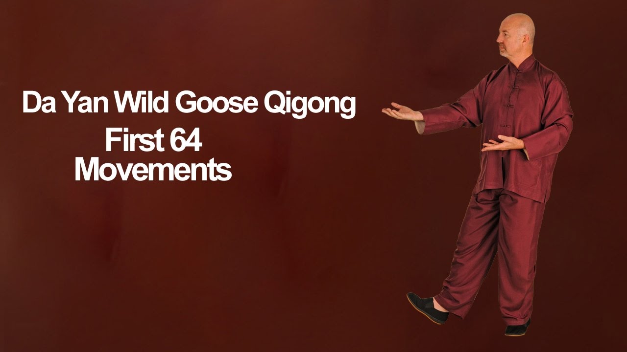 Da Yan Wild Goose Qigong 1st 64 Movements - Simon Blow Qigong
