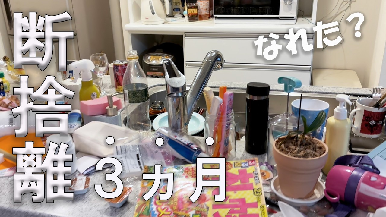 【断捨離vlog】ミニマリストになれたのか❓部屋のビフォーアフターと現在🏠