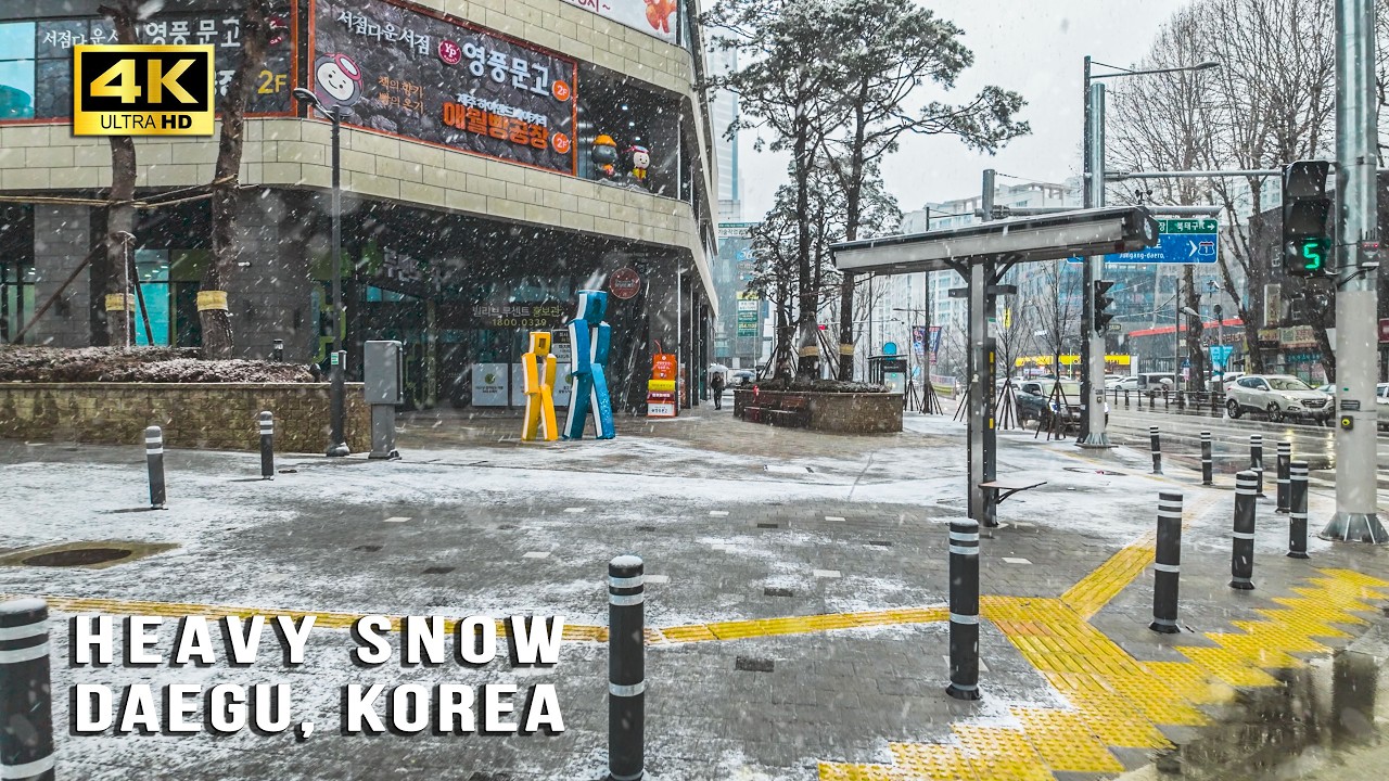 Heavy Snowfall in Daegu 🇰🇷 | Rare Winter Storm Walk 4K HDR | ASMR
