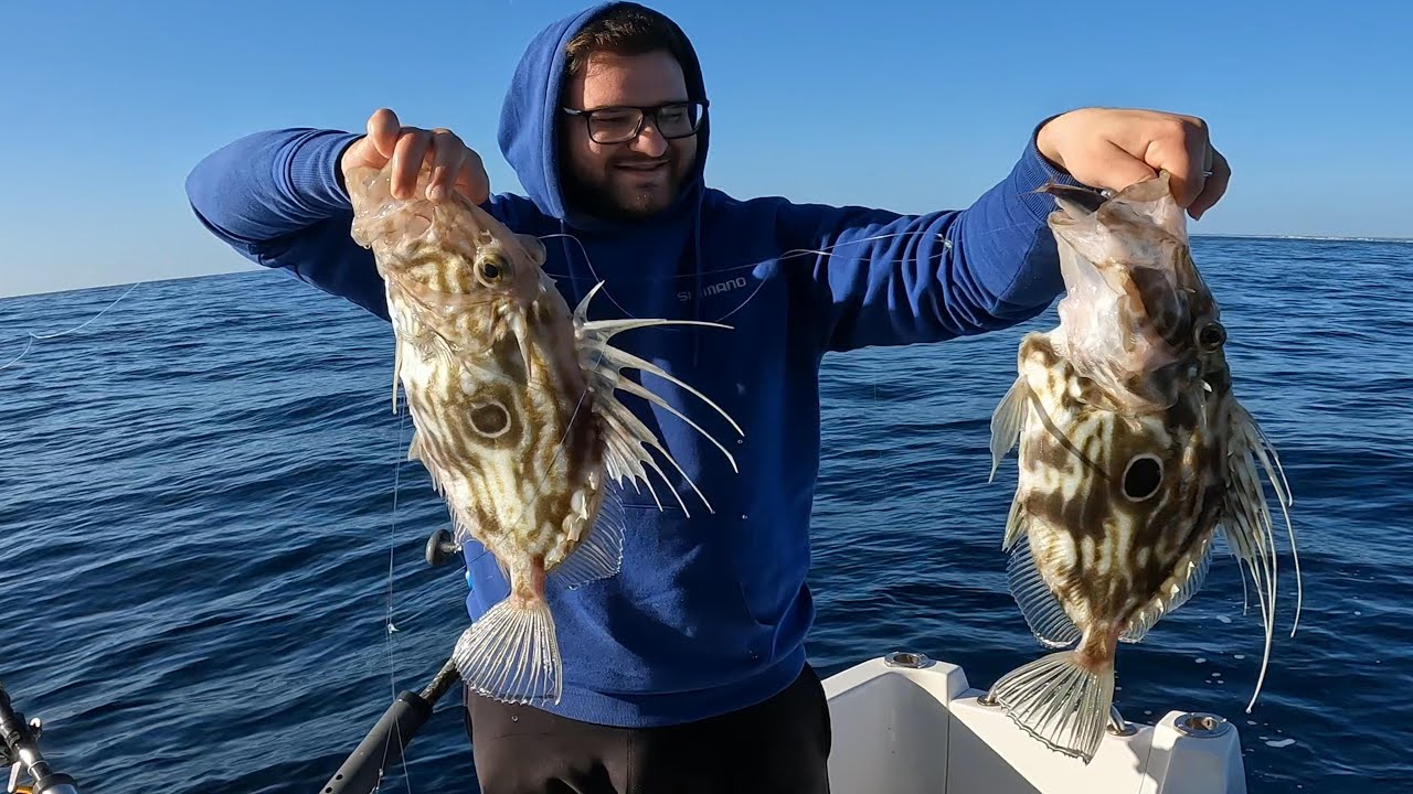 Cómo Identificar y Capturar Gallo de San Pedro en el Mar