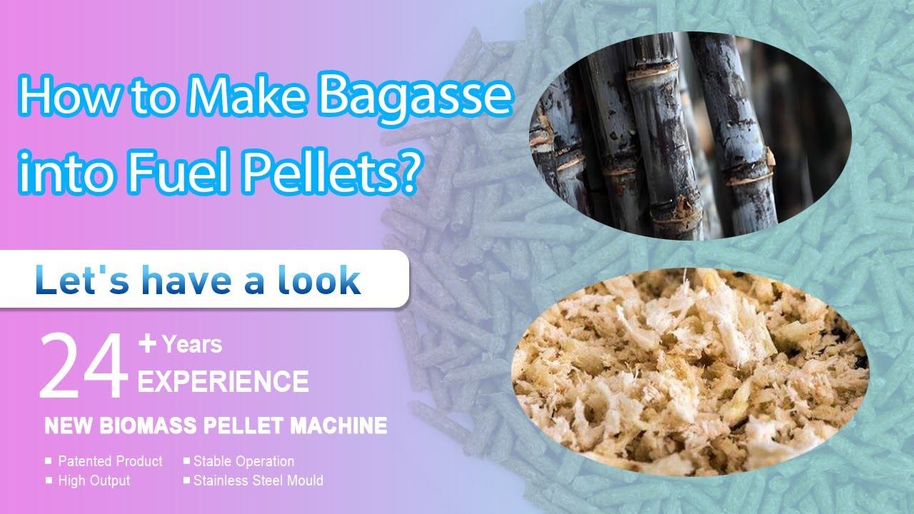 How to Make Bagasse into Fuel Pellets? -YULONG 2022
