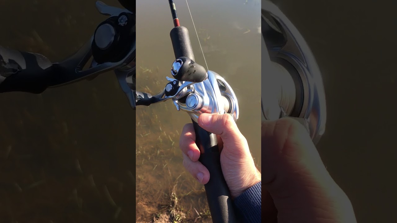 Shimano Metanium MGL