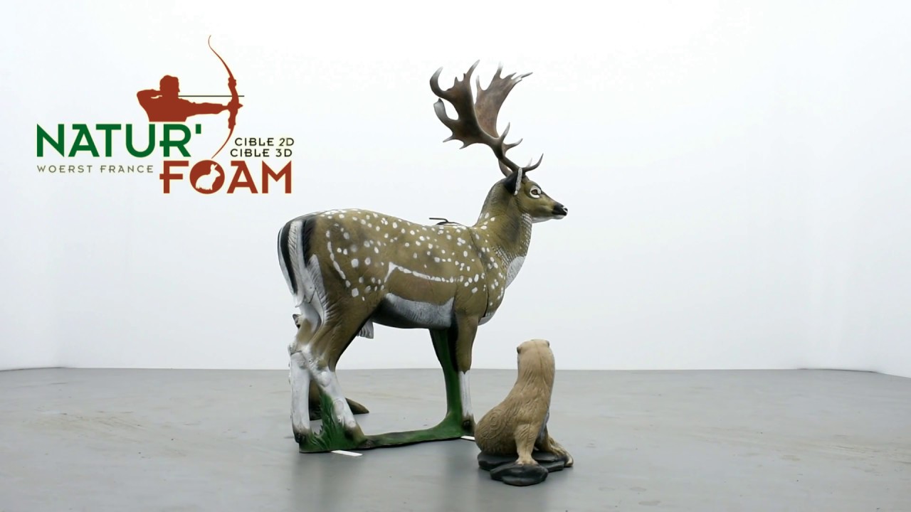 cible 3D natur'foam