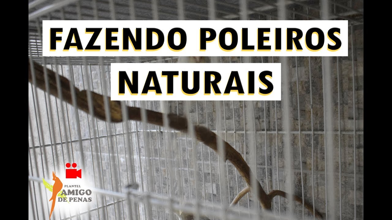 Como transformar galhos e poleiros?!