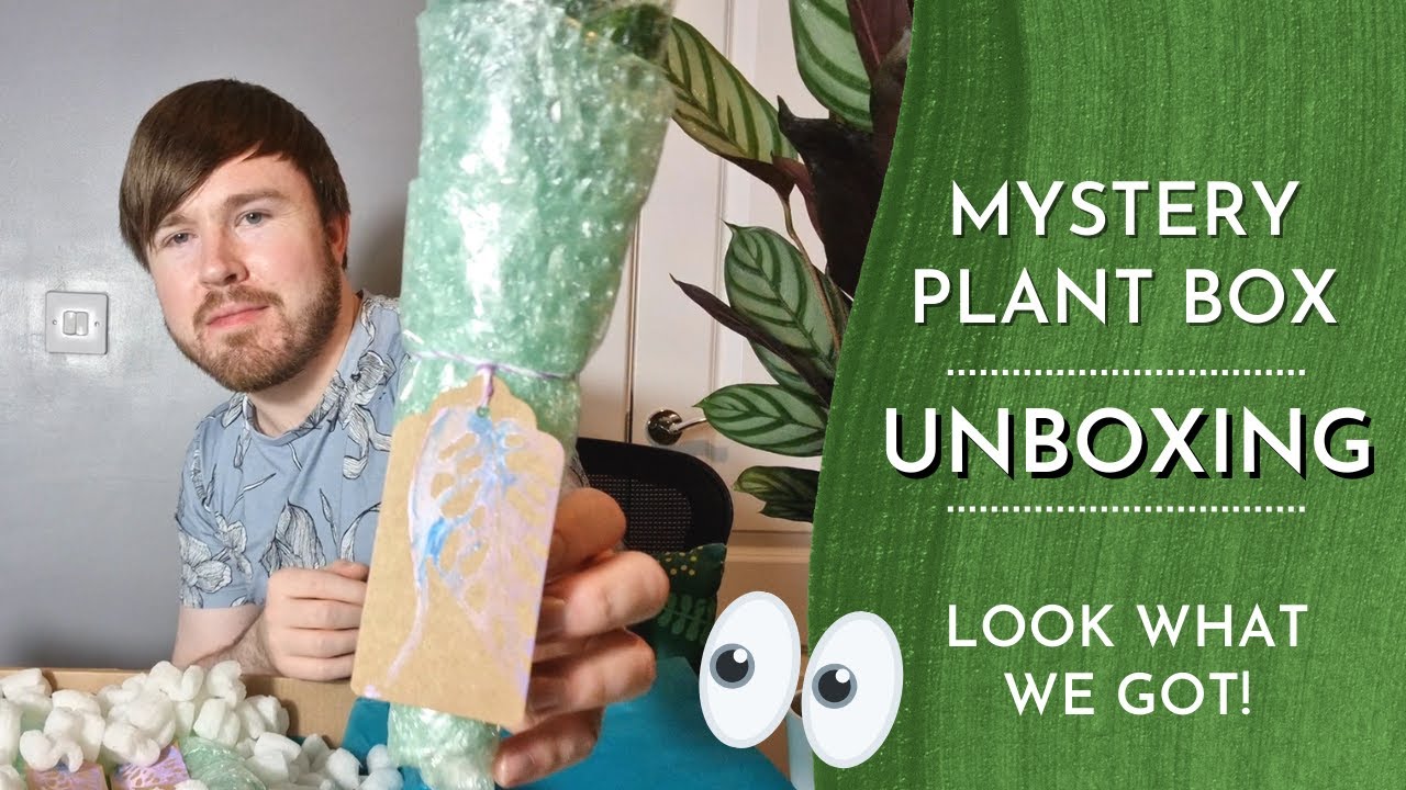 Mystery Plant Box Unboxing - Look What I Got!