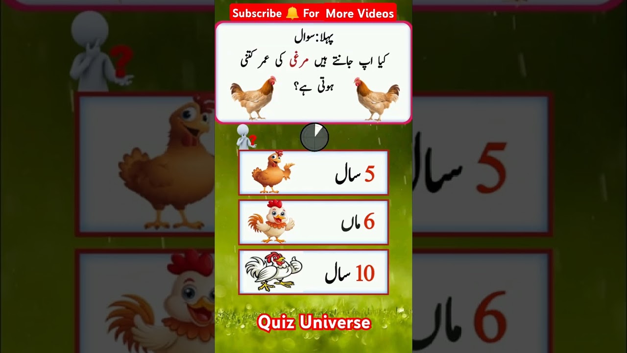 Test Your IQ with These Mind-Bending Quiz Questions