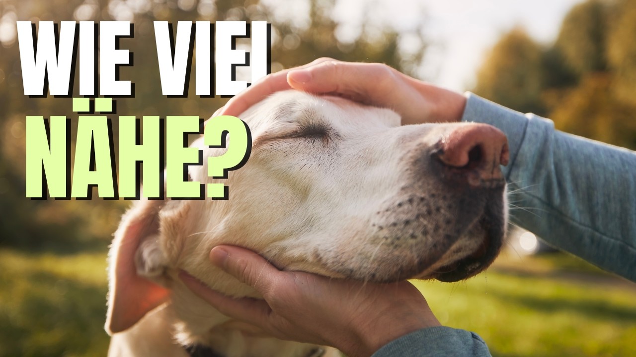 Wie gut ist die Bindung zwischen dir und deinem Hund? Erkenne soziale Bewegung und Signale
