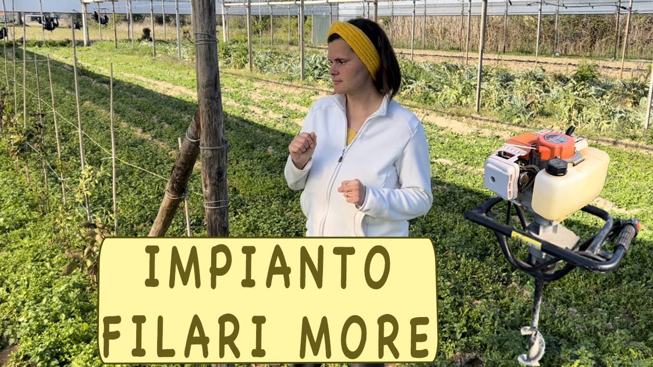 COME FARE un FILARE di MORE