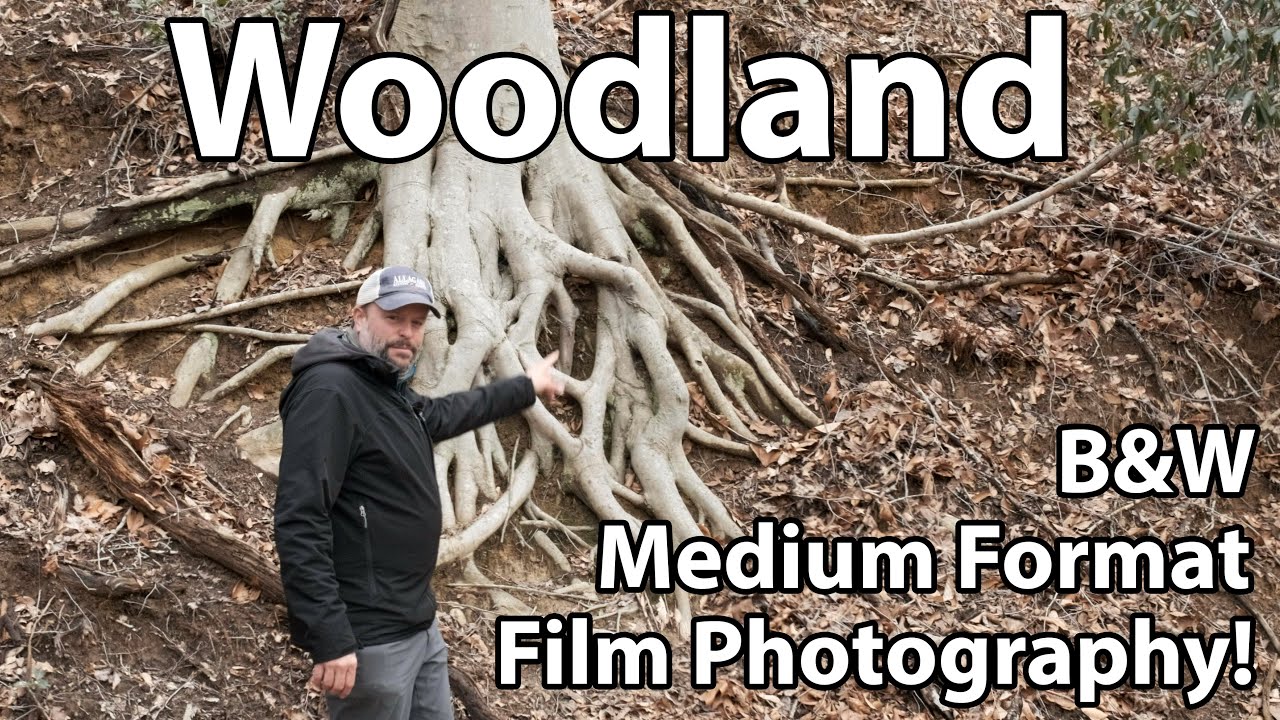 Черно-белая пленка среднего формата «Лесная» на Чесапикском заливе
