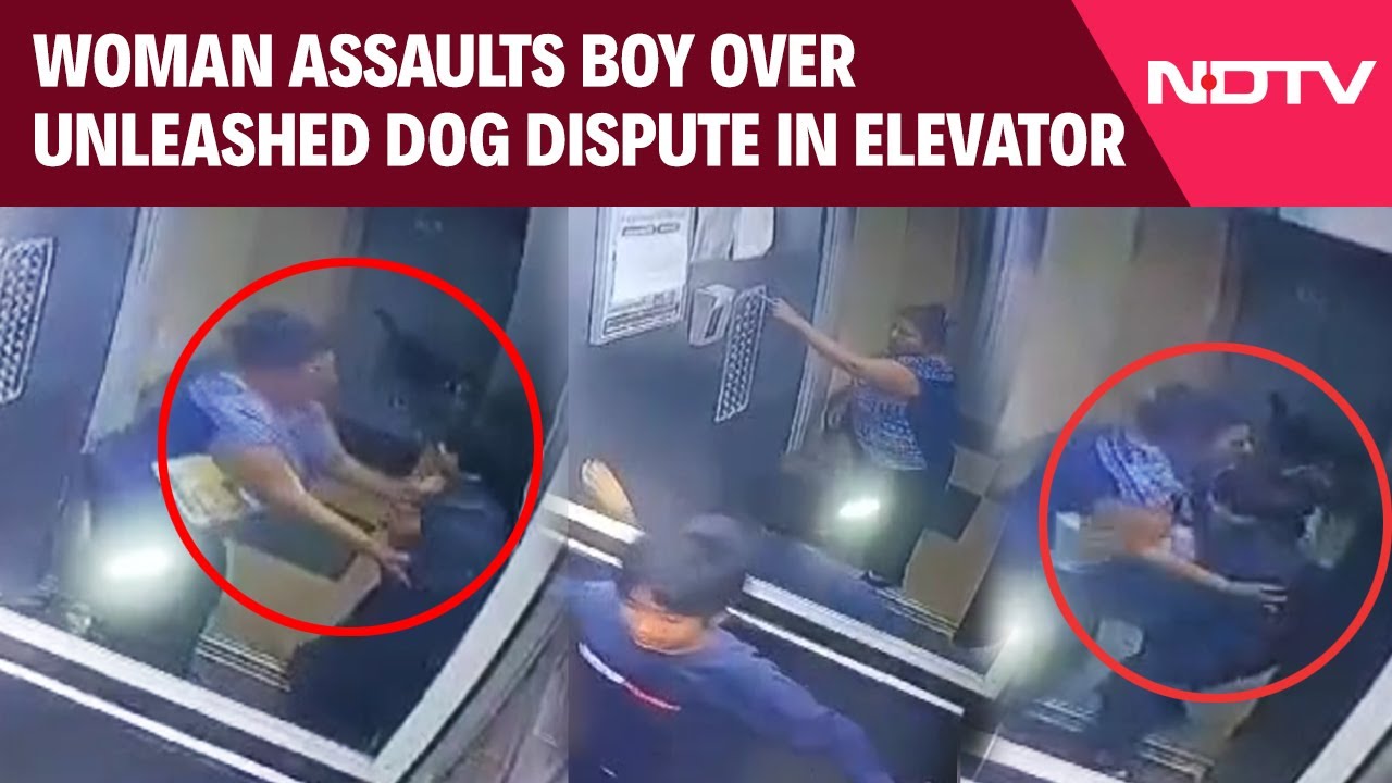 Noida News | Boy Asks Woman Not To Bring Unleashed Dog Inside Lift. Then This Happens