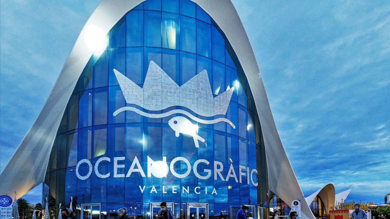 Dolphins Show at Oceanography Valencia, Spain