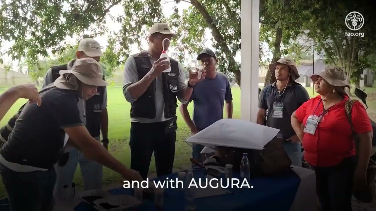 Colombian plantain and banana producers empowered through soil science training