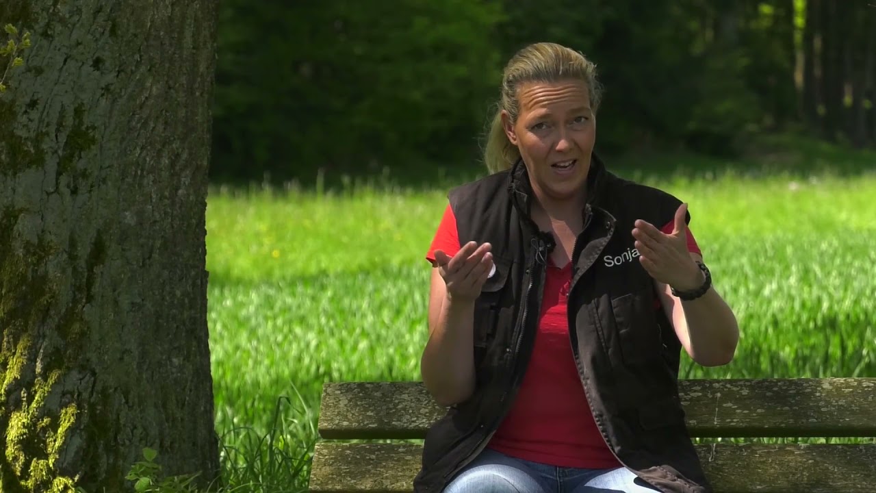 Leinenführigkeit - Begrüßung, Sonja Meiburg