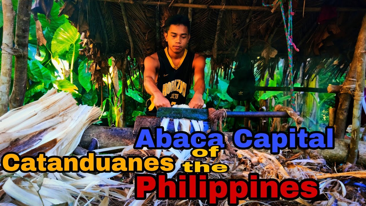 ABACA CAPITAL OF THE PHILIPPINES CATANDUANES | Gino Torzar
