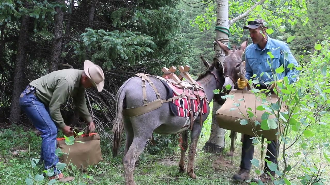 The Castles - Packing with donkeys