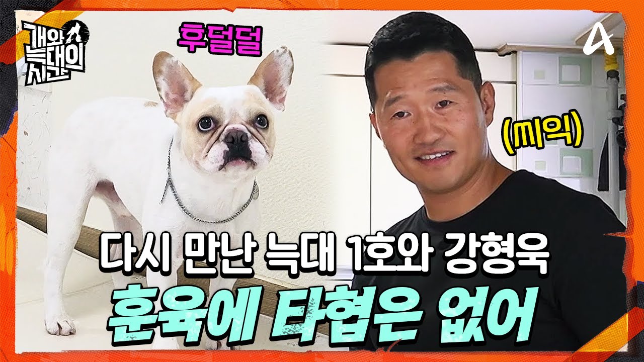 [#개와늑대의시간] 👓훈육만 하면 눈빛이 변하는 강형욱! 🐺늑대 1호와 다시 만났다?! 과연 승부의 승자는? | 개와 늑대의 시간 2회