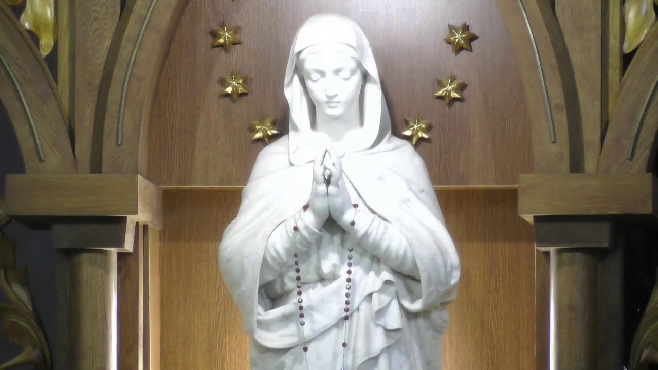 Харківсько-Запорізька дієцезія РКЦ – transmisja na żywo