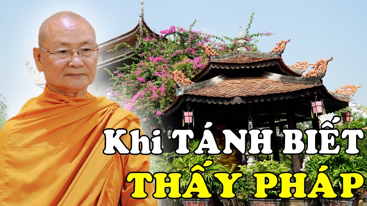 Khi TÁNH BIẾT Thấy Pháp - HT Viên Minh Giảng | Phật Pháp Vấn Đáp