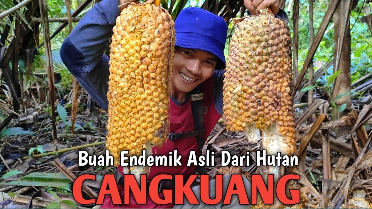 Mencari Buah Buahan Liar Dan Memasak Di Alam | Kang Kumang