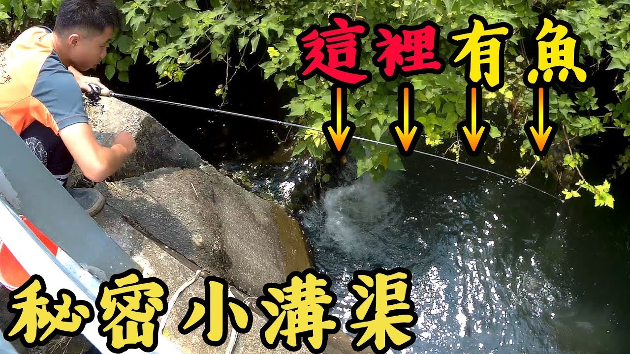 秘密基地！！在一個極度隱密的灌溉溝渠裡釣魚！！(前打/路亞/磯釣/吳郭魚)