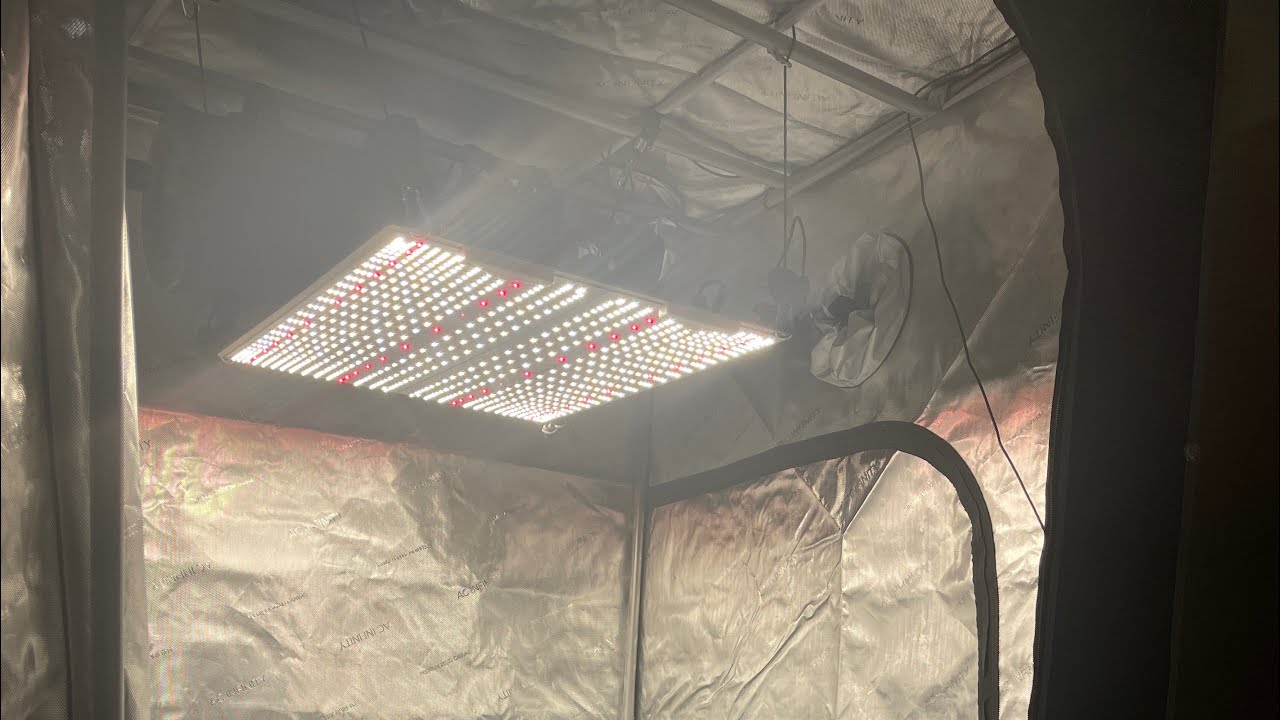 New XP 4000 Grow light  by Bloom Plus Led