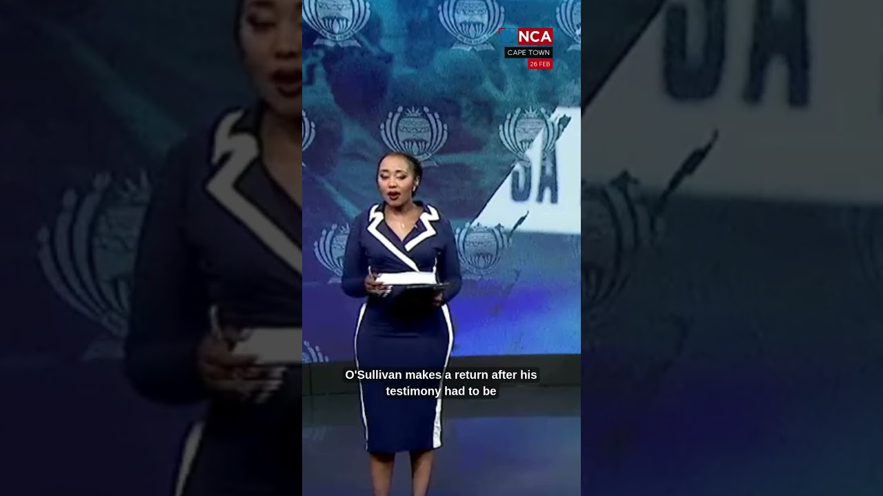 О'Салливан и Фалане снова выступают перед специальным комитетом парламента по делам SAPS