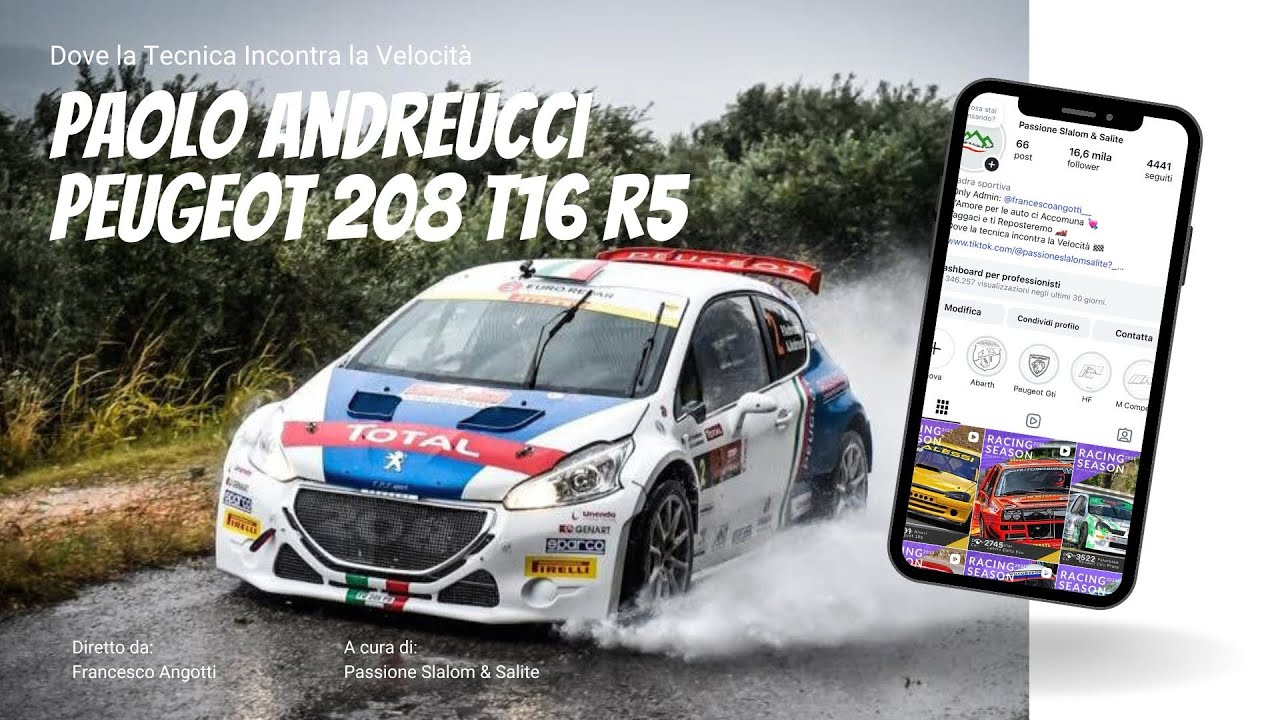 Paolo Andreucci | Peugeot 208 T16 | Attack