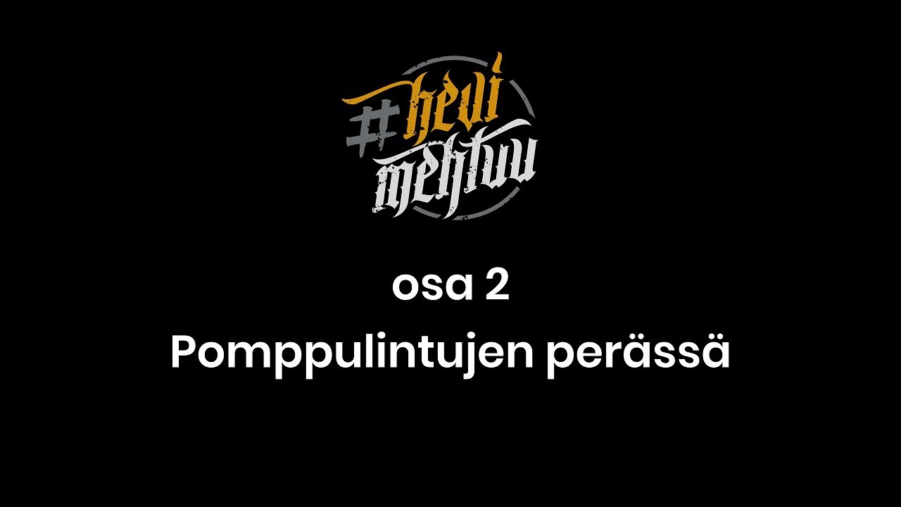 Osa 2 - Pomppulintujen perässä