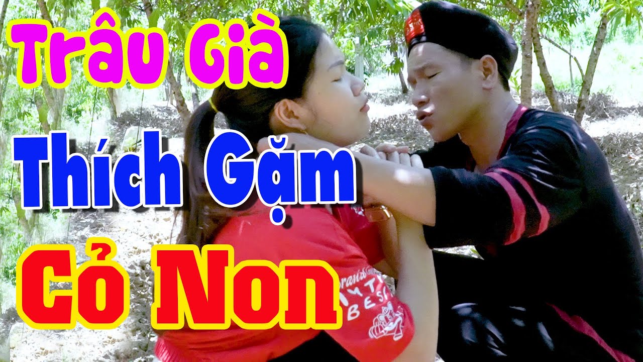 Trâu Già Thích Gặm Cỏ Non - Hài A Hy Mới Nhất 2020 Xem Sướng Cười Không Ngớt - A HUY TV