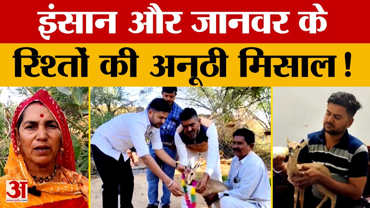 Rajasthan News: राजस्थान में जैसलमेर के एक परिवार ने पेश की इंसान और जानवर के रिश्ते की अनूठी मिसाल