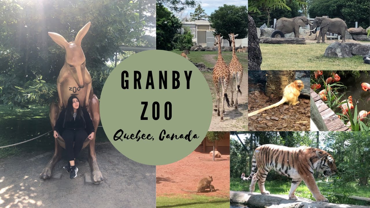 Granby Zoo in Quebec, Canada. Is it worth the hype?