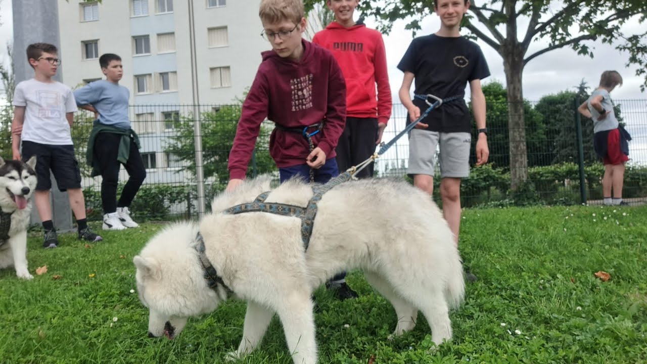 AS MORTAIX,  après-midi à Gerzat