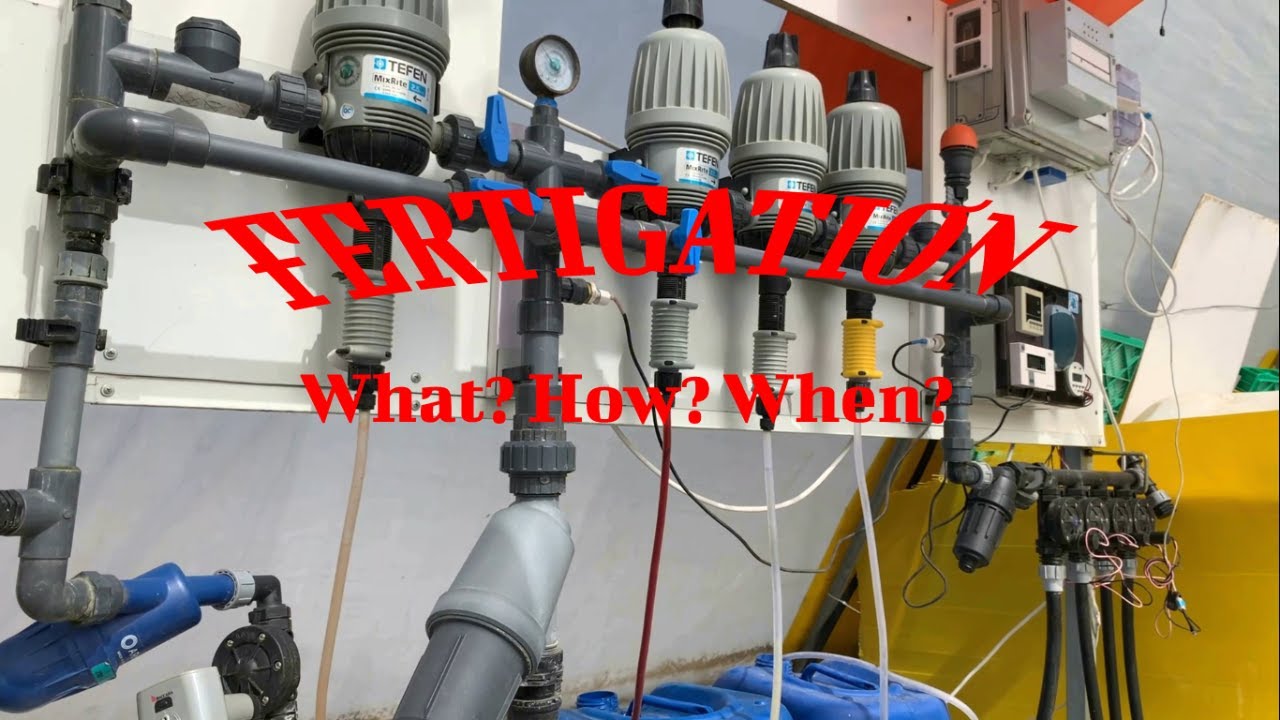 Dosing injector - Nutrition system What? How? When?