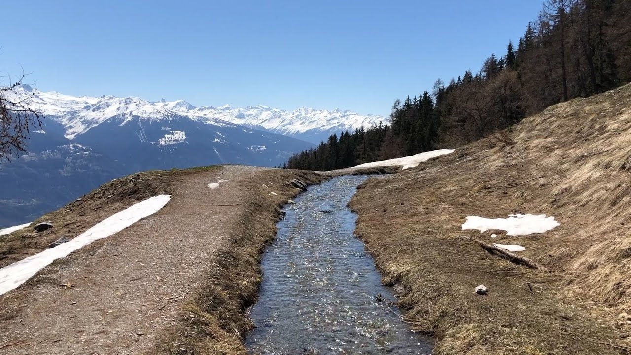 Les bisses du Valais : une histoire d'eau