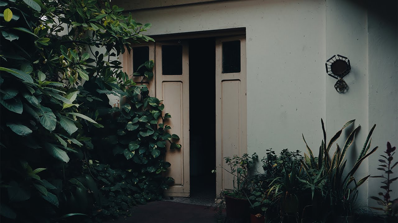 Canon M50 Mark II Cinematic Test (2025)