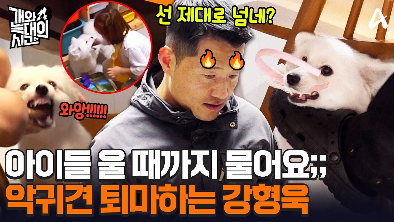 아이들이 울어도 멈추지 않는 공격💦 눈에 보이는 건 전부 다 물어버리는 악귀견 참교육😈 ㅣ개와 늑대의 시간