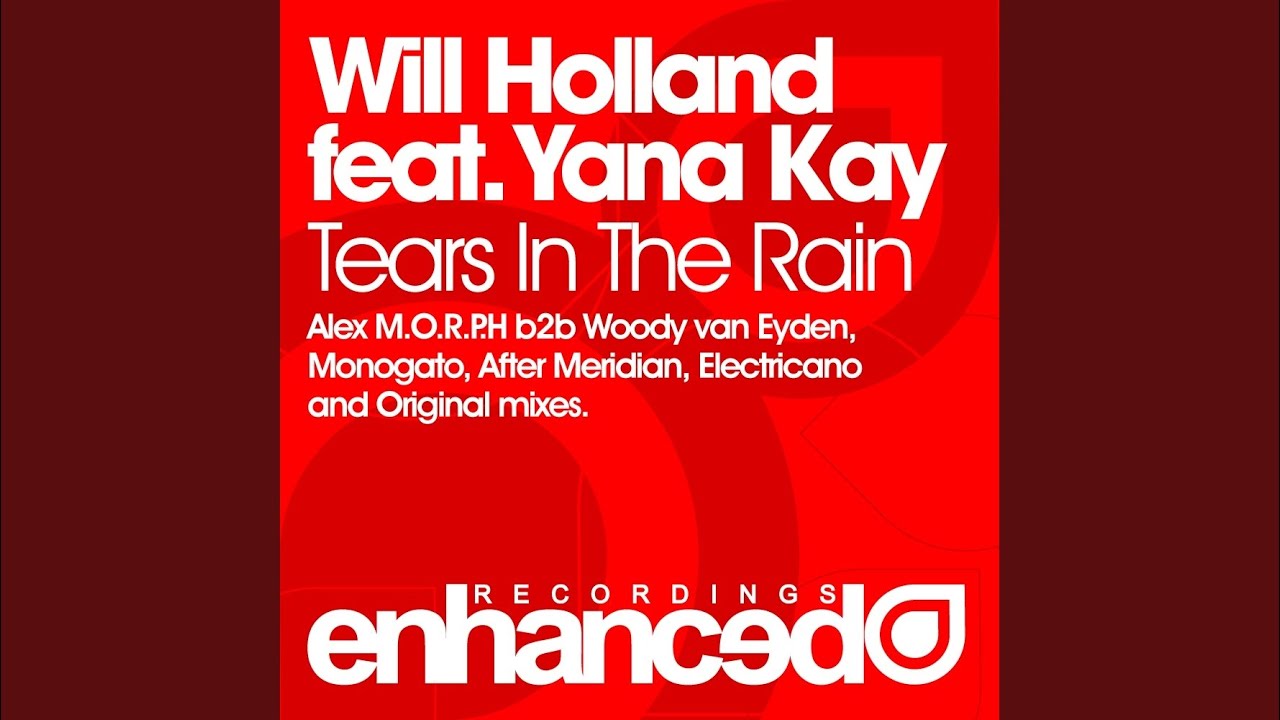 Tears In The Rain (Alex M.O.R.P.H b2b Woody Van Eyden Remix)